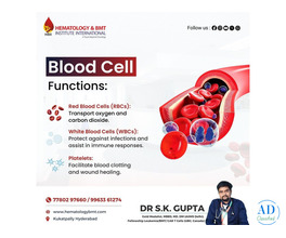 Red Blood Cells – Importance, Function, and Disorders by Dr. S K Guptha