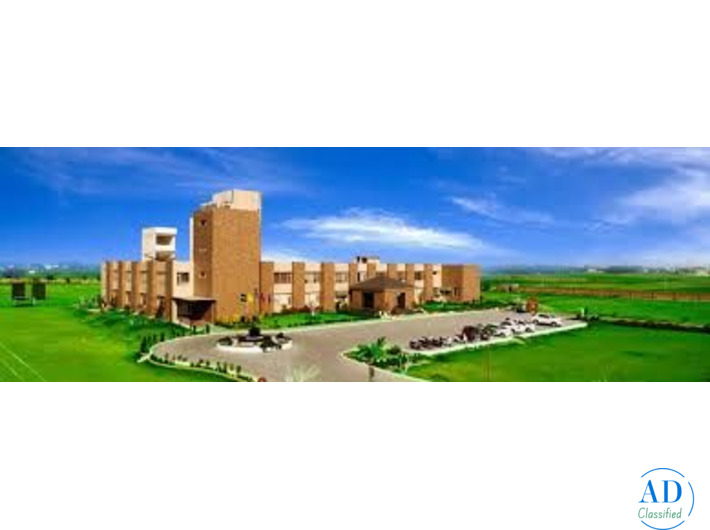 Angels Valley School Admission Open