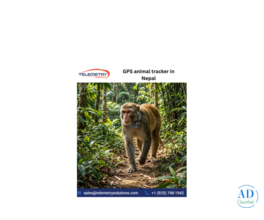 Monkey Tracker Systems Designed for Safe Wildlife Observation