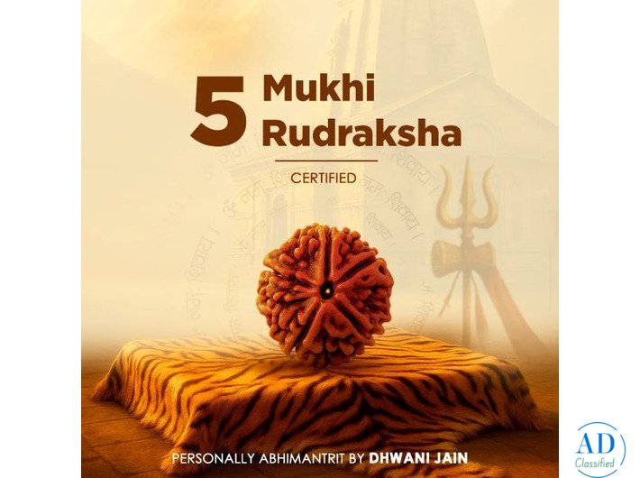 5 Mukhi Rudraksha (Five Faced) for Peace