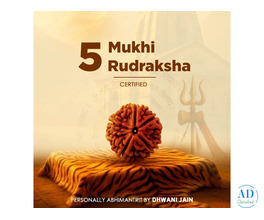 5 Mukhi Rudraksha (Five Faced) for Peace