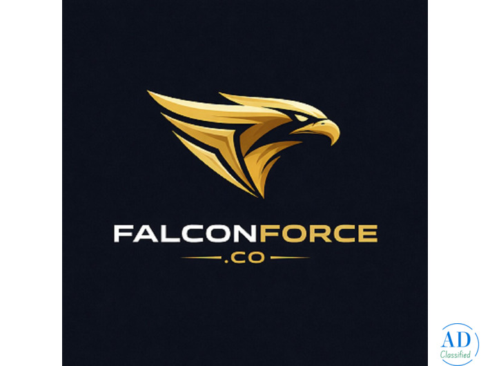 SEO Service In Ludhiana - Falcon Force