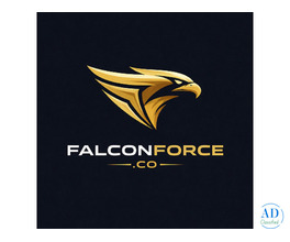SEO Service In Ludhiana - Falcon Force