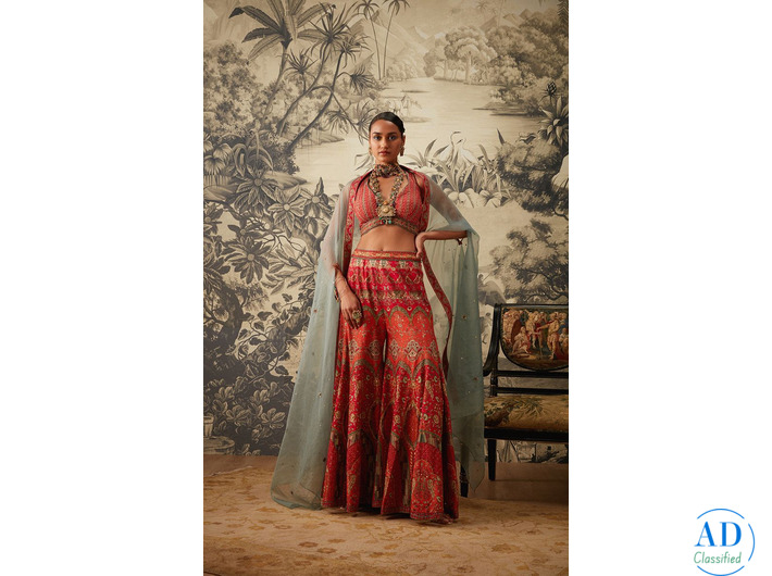 Explore Wedding Sharara Suits Online at Kalista