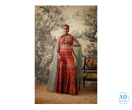 Explore Wedding Sharara Suits Online at Kalista