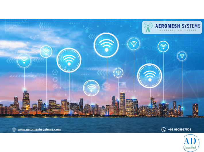 Wireless Mesh Network Infrastructure for Distributed Enterprise Sites