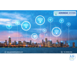 Wireless Mesh Network Infrastructure for Distributed Enterprise Sites