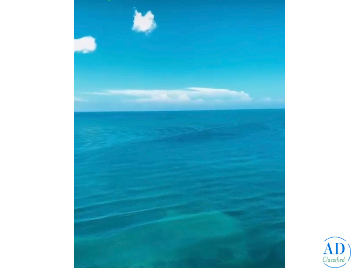Viva Como Un Rey, Deleitandose Con Su Vista Al Mar, Desde El Piso 26!!!