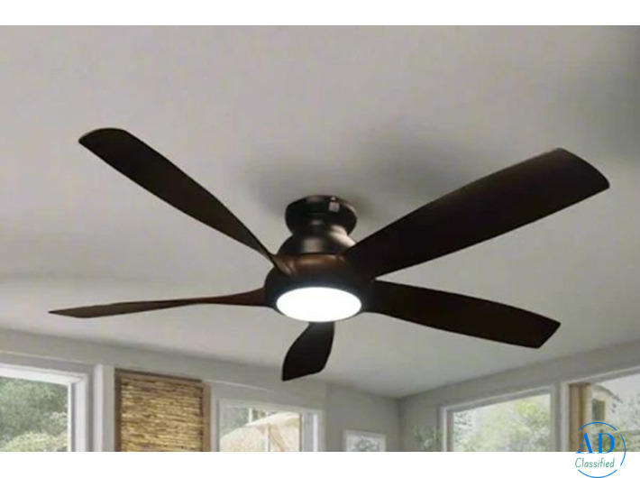 Best Aesthetic Designer Ceiling Fan
