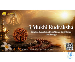 3 Mukhi Rudraksha for Confidence Strength and Positive Energy