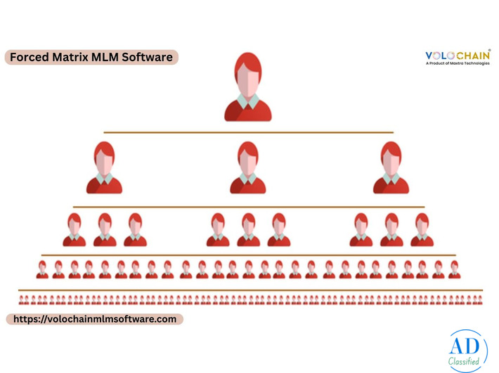 Get Forced Matrix MLM Software for Network Development Support Services