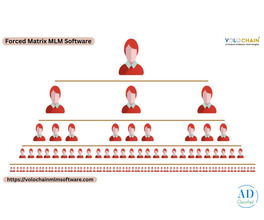 Get Forced Matrix MLM Software for Network Development Support Services