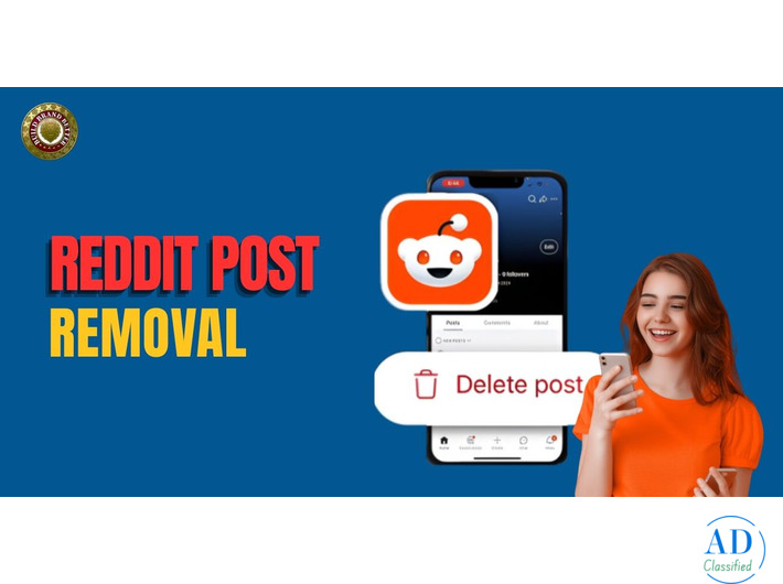 Reddit Content Removal and Reputation Repair Services
