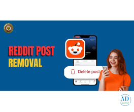 Reddit Content Removal and Reputation Repair Services