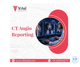 CT Angio Reporting for Detailed Vascular Analysis