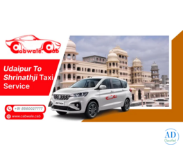 Udaipur To Shrinathji Taxi Service