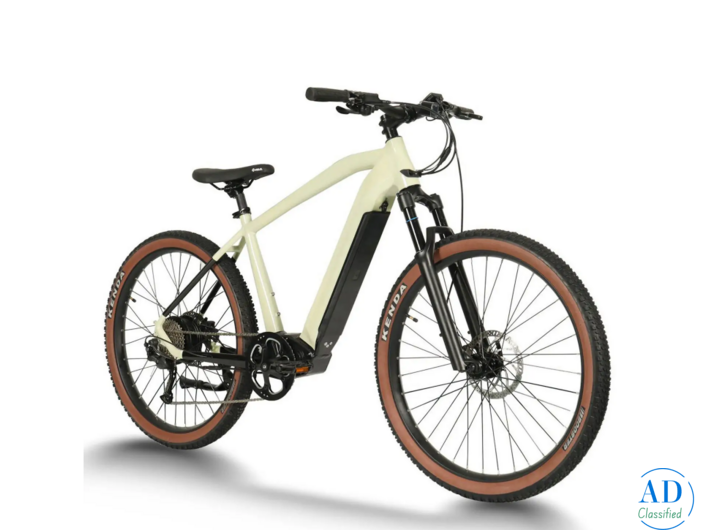 Best Electric Mountain Bikes in Germany