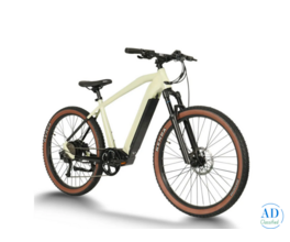 Best Electric Mountain Bikes in Germany