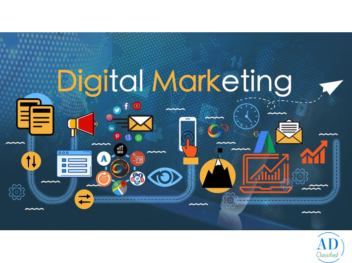 Digital Marketing Course in Delhi NCR