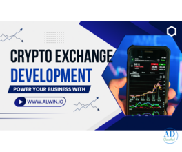 Looking for Crypto Exchange Development Services?