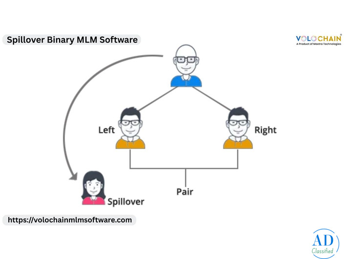 Explore Spillover Binary Software Demo for Growth Services