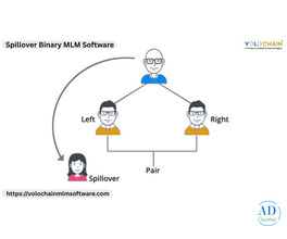 Explore Spillover Binary Software Demo for Growth Services