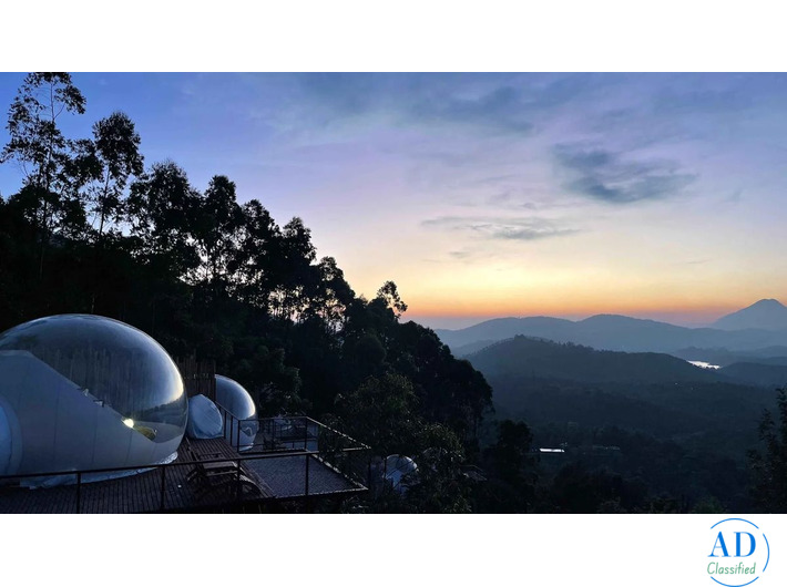 Best Resorts in Munnar | Top Resorts in Munnar