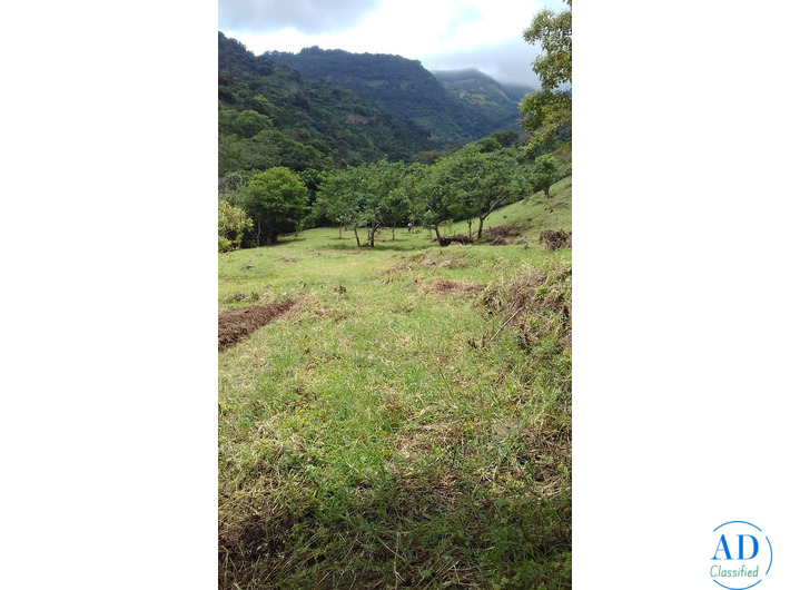 Salitral Santa Ana Costa Rica land. Massive Mountain Estate for sale.