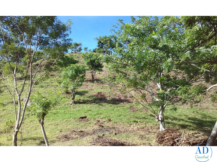 Salitral Santa Ana Costa Rica land. Massive Mountain Estate for sale.