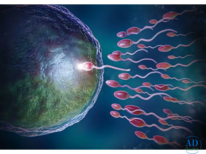 Best IVF Center in Ahmedabad - Shukan Hospital