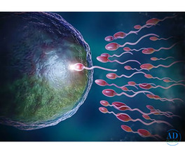 Best IVF Center in Ahmedabad - Shukan Hospital