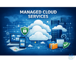Managed IT and Cloud Services Provider in Chandigarh