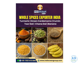 Pure Haldi Powder Supplier in India