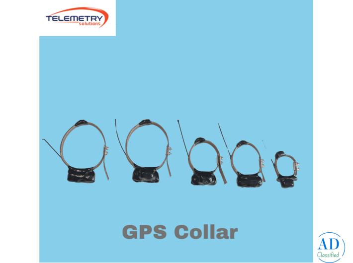 Modern GPS Collar Systems for Effective Wildlife Monitoring