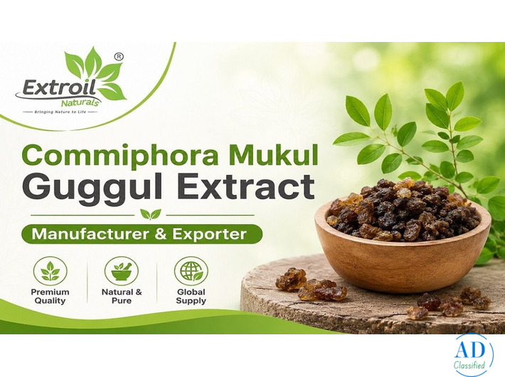 Commiphora Mukul Guggul Extract Manufacturer & Exporter