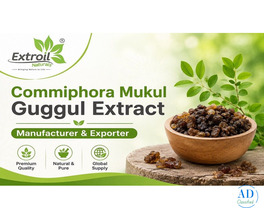 Commiphora Mukul Guggul Extract Manufacturer &amp; Exporter