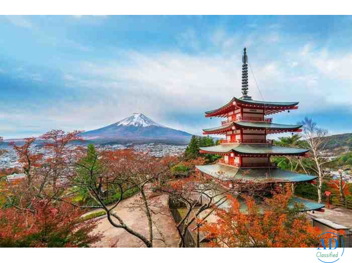 Explore Tokyo Kyoto and Mount Fuji – Enquire Today