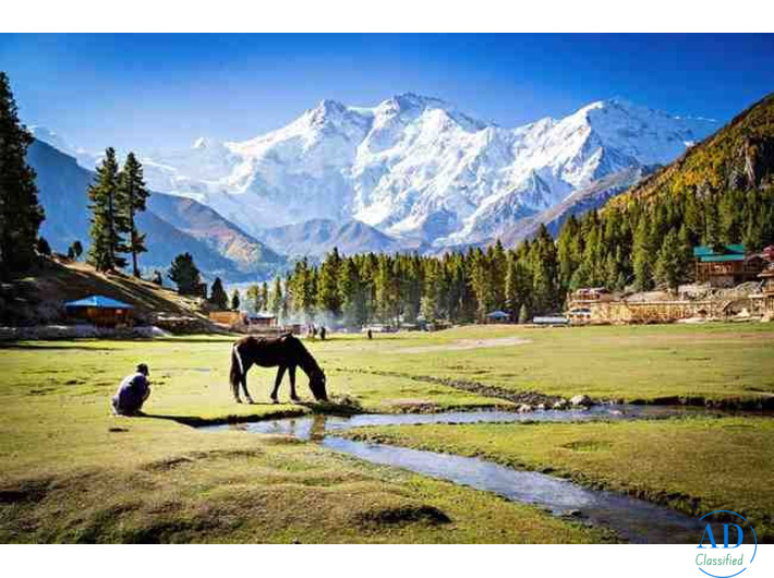Book Your Dream Kashmir Tour Package Today – Call Now