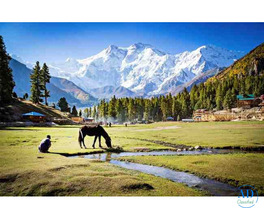 Book Your Dream Kashmir Tour Package Today – Call Now