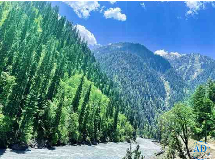 Book Your Dream Kashmir Tour Package Today – Call Now