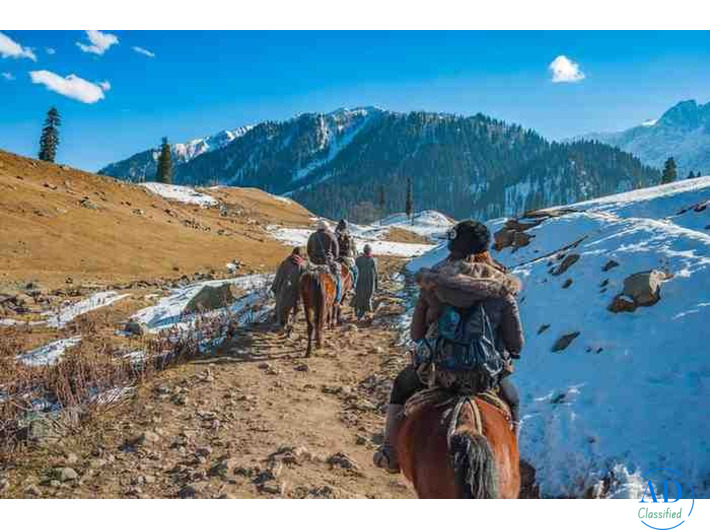 Book Your Dream Kashmir Tour Package Today – Call Now