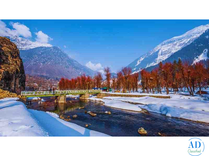 Book Your Dream Kashmir Tour Package Today – Call Now