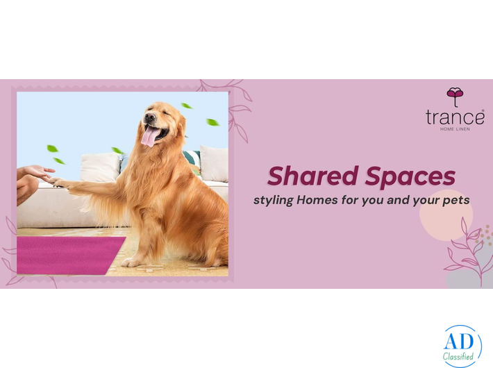 Shared Spaces styling Homes for you and your pets
