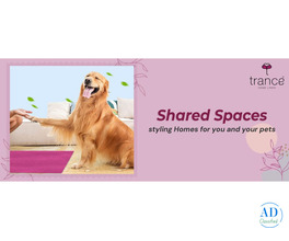 Shared Spaces styling Homes for you and your pets