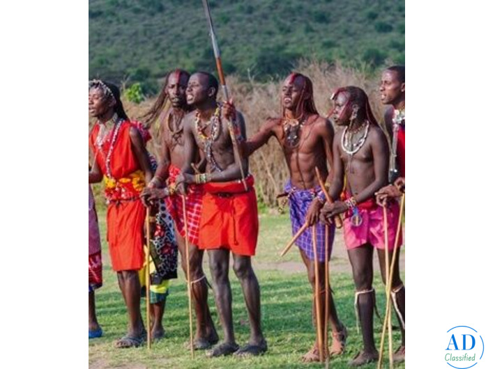 Plan Your Perfect Kenya Tour Package – Contact Us Now