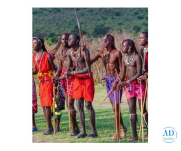 Plan Your Perfect Kenya Tour Package – Contact Us Now