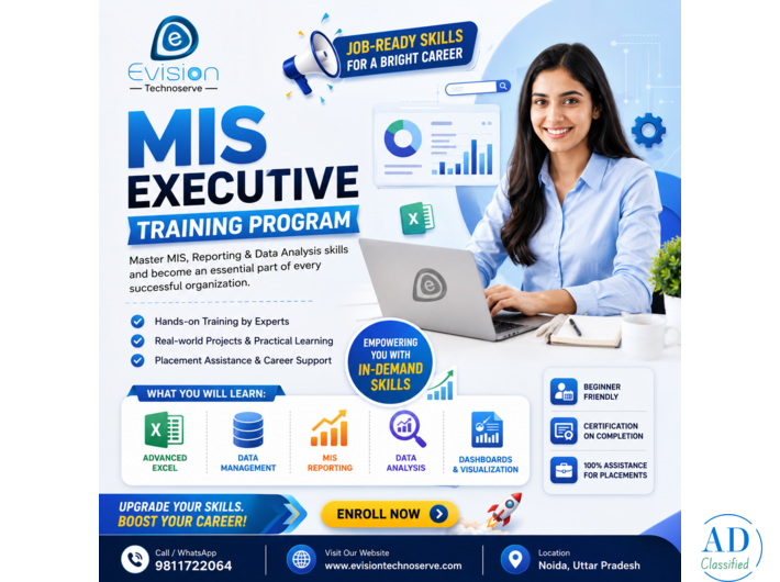 MIS Executive Training Program