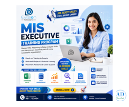 MIS Executive Training Program
