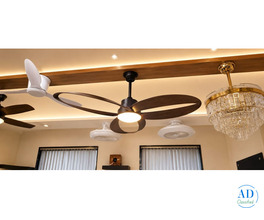 Premium Designer Modern Ceiling Fan
