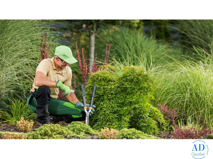 Why Professional Landscaping Services Melbourne Deliver Better Outdoor Results
